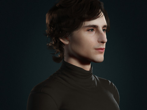 Timothee-Chalamet low-poly 3D 모델