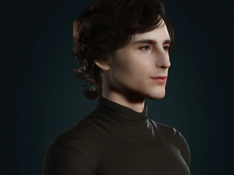 Timothee-Chalamet low-poly 3D Model