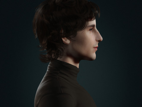 Timothee-Chalamet low-poly 3D 모델