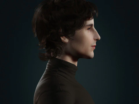 Timothee-Chalamet low-poly 3D Model