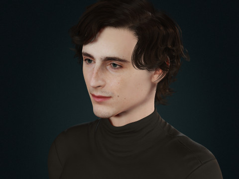 Timothee-Chalamet low-poly 3D 모델