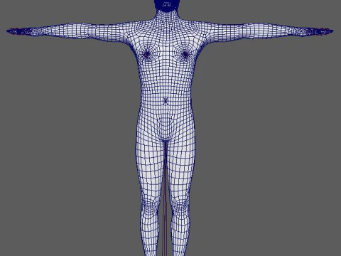 Zohran Kwame Mamdani Character 3D Model