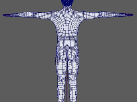 Zohran Kwame Mamdani Character 3D Model