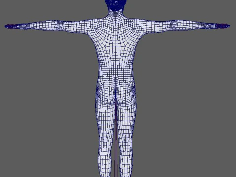 Zohran Kwame Mamdani Character 3D Model