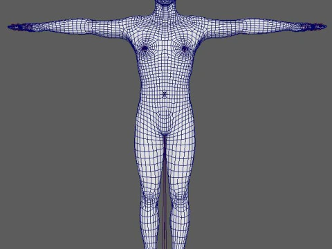 Roger Federer Character 3D Model