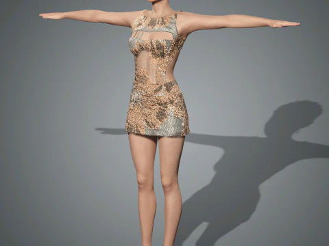 Zhang ziyi Character low-poly 3D Model