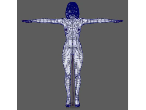 Najwa Nimri Character 3D Model