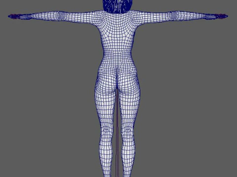 Najwa Nimri Character 3D Model
