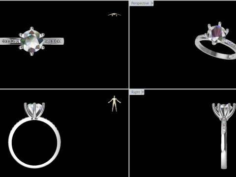 Eternal Shine Ring 3D 打印模型