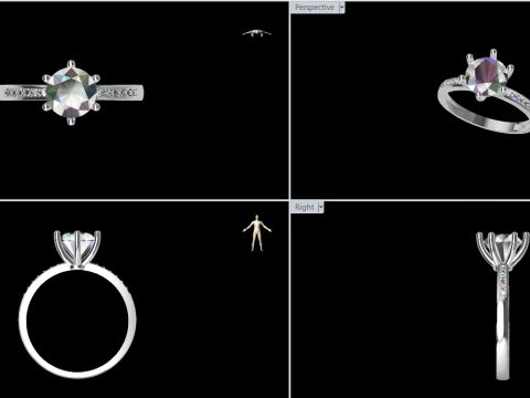 Eternal Shine Ring 3D Print Model