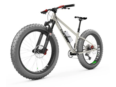 MTB FAT BIKE Modello 3D
