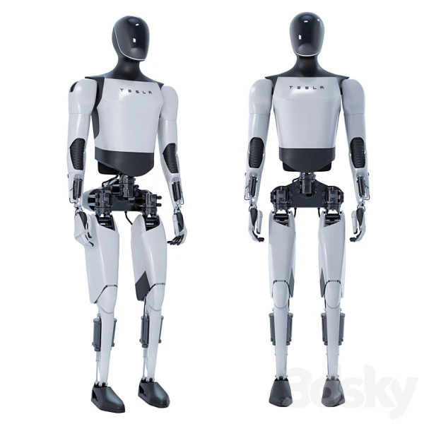 Teslabot 3D Model .c4d .max .obj .3ds .fbx .stl .blend 