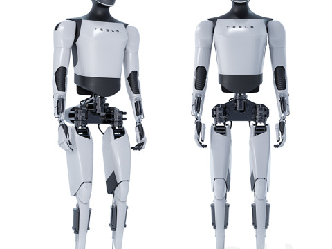 Teslabot Modello 3D