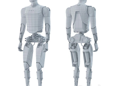 Teslabot 3D Model