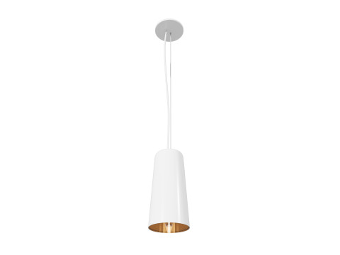 Modern Minimalist Pendant Light 3D Model