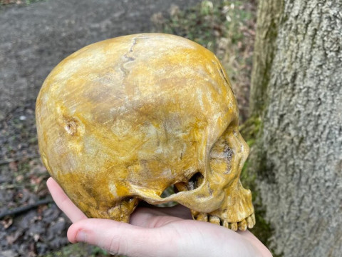 Halo Grunt Birthday Skull 3D Print Model Model do druku 3D