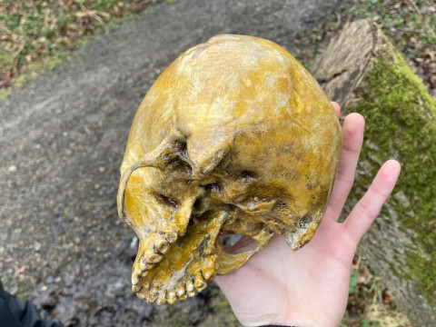 Halo Grunt Birthday Skull 3D Print Model Model do druku 3D