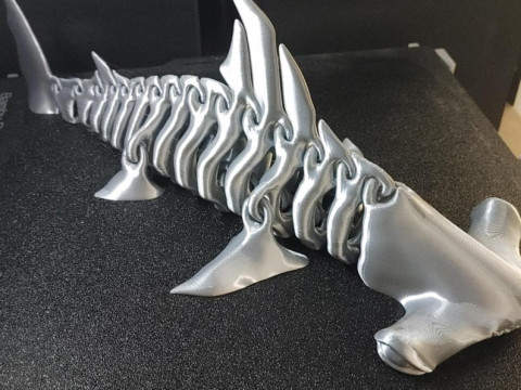 Hammerhead Shark Bones Structure Modèles 3D en vedette