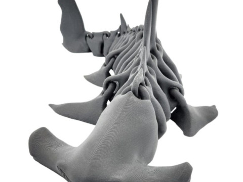 Hammerhead Shark Bones Structure Modèles 3D en vedette