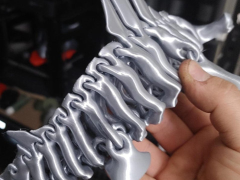 Hammerhead Shark Bones Structure Modèles 3D en vedette