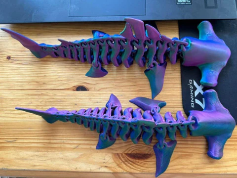 Hammerhead Shark Bones Structure 3D Print Model