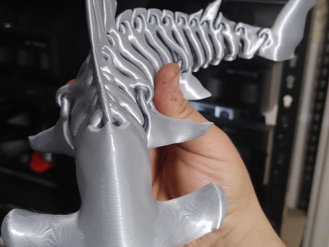 Hammerhead Shark Bones Structure Modèles 3D en vedette