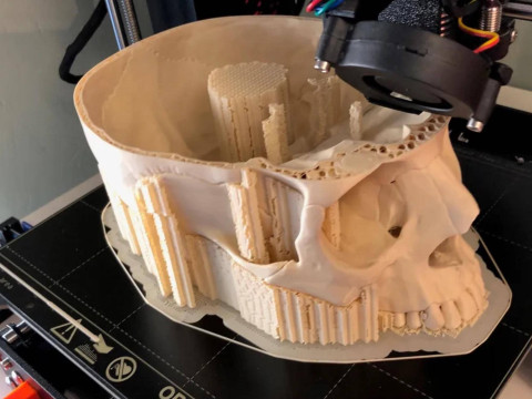 Anatomy Human Skull 3D Print Model 3D Print Model