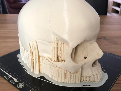 Anatomy Human Skull 3D Print Model 3D Print Model