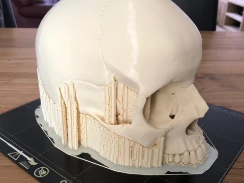 Anatomy Human Skull 3D Print Model 3D Print Model