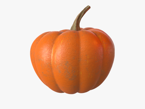 Pumpkin 3D मॉडल
