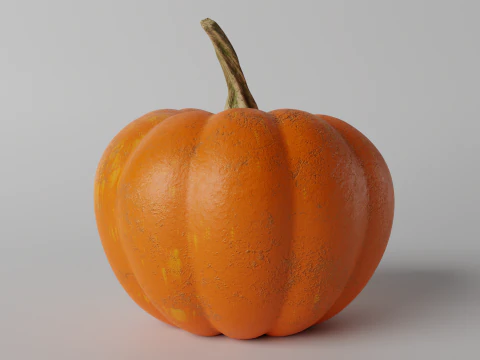 Pumpkin 3D Model