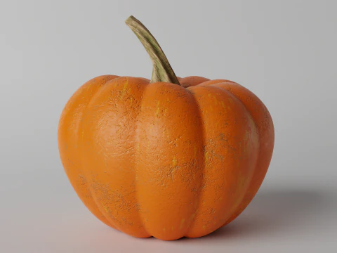 Pumpkin 3D Model