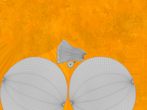 Pumpkin 3D Model