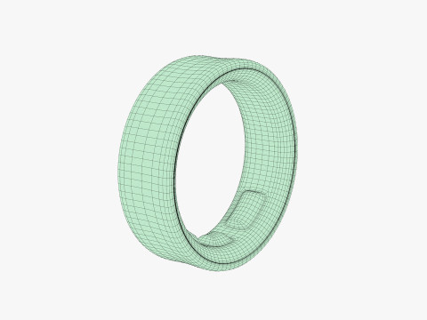 Samsung Galaxy Ring Silver 3D Model