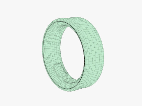 Samsung Galaxy Ring Silver 3D Model
