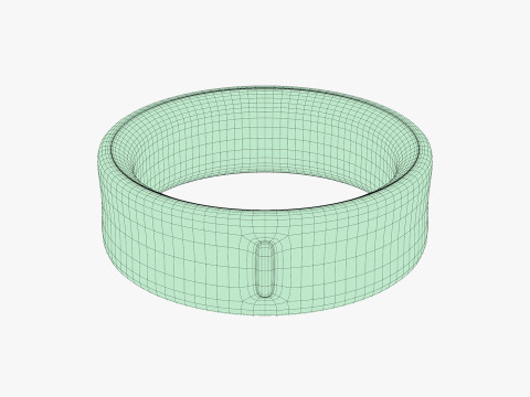 Samsung Galaxy Ring Silver 3D Model