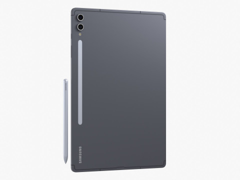 Samsung Galaxy Tab S10 Plus Gray Model 3D