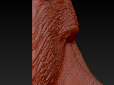 3 Bears 3D Model