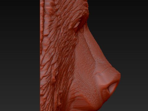 3 Bears 3D Model