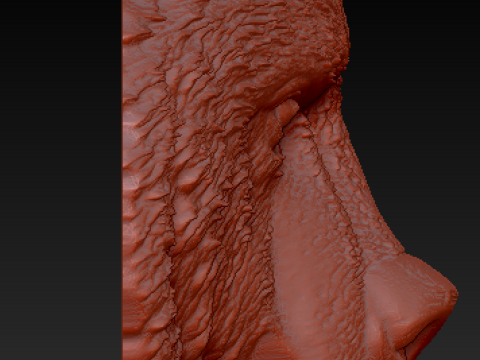 3 Bears 3D Model