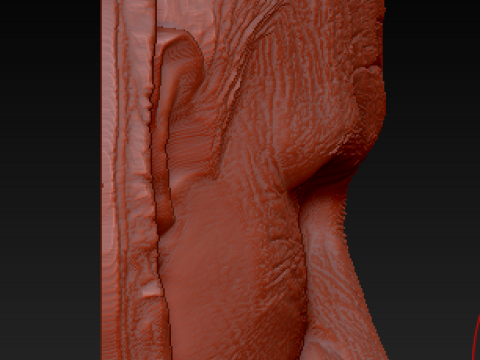 Putin Face Medal 3D Model
