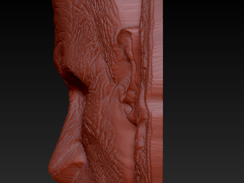 Putin Face Medal 3D Model