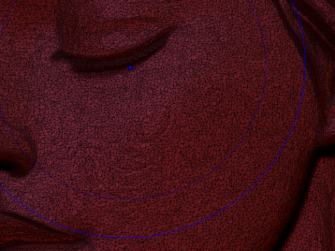Woman face 3D Модель