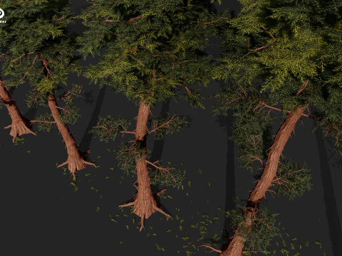 RED WOOD TREE PACK 3D Model
