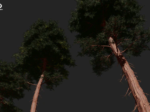 RED WOOD TREE PACK 3D Model