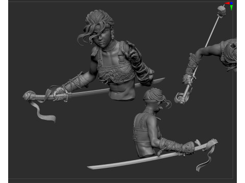 Assassin Figure Modelo de Impressão 3D