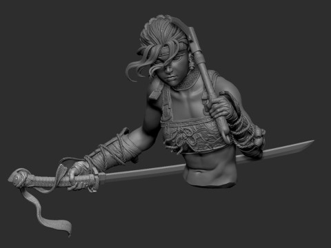 Assassin Figure Modelo de Impressão 3D