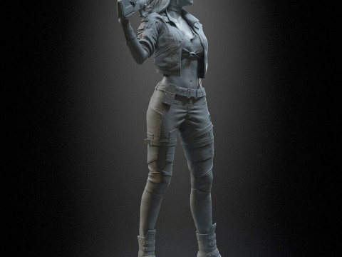 Rogue Amendiares 3Dプリントモデル