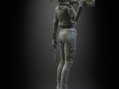 Rogue Amendiares 3Dプリントモデル