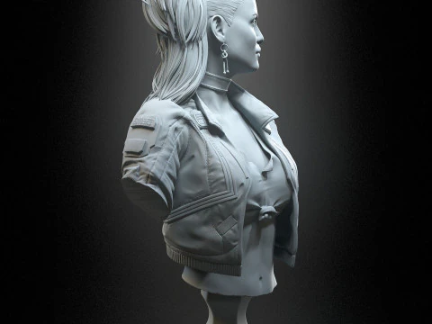 Rogue Amendiares 3D Print Model